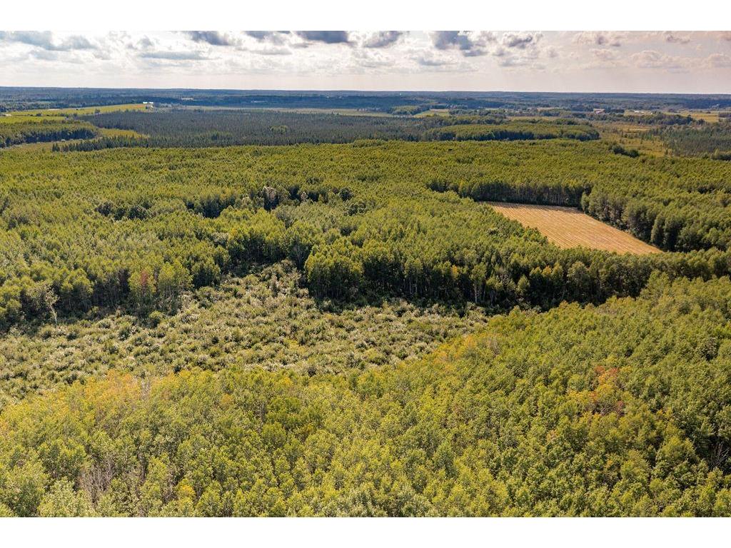 Xxxx Hwy 27 Kettle River MN 55757 - Kettle River 6778937 image20