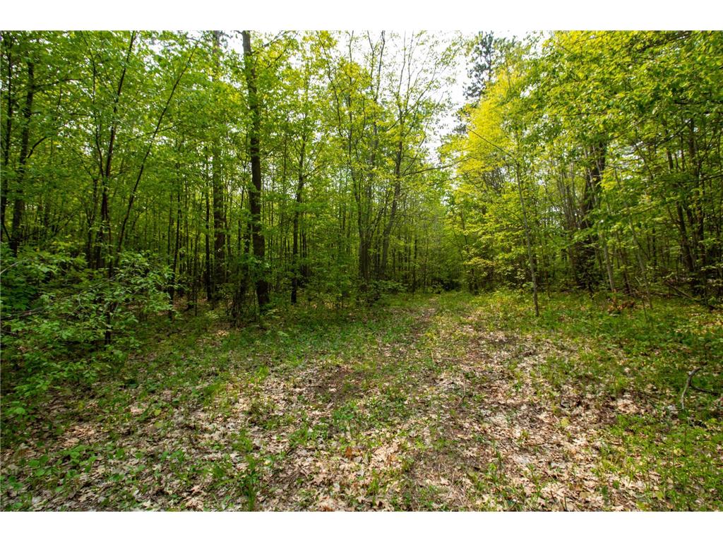 Xxxxx Co Hwy 47 Green Valley Twp MN 56570 6374171 image1