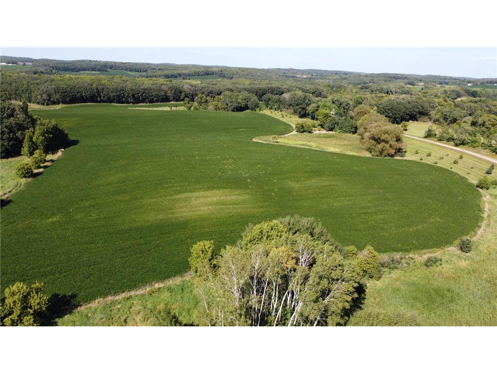 Xxxxx County Hwy 12 Dalton MN 56324 6780550 image1