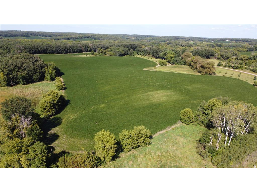 Xxxxx County Hwy 12 Dalton MN 56324 6780550 image25