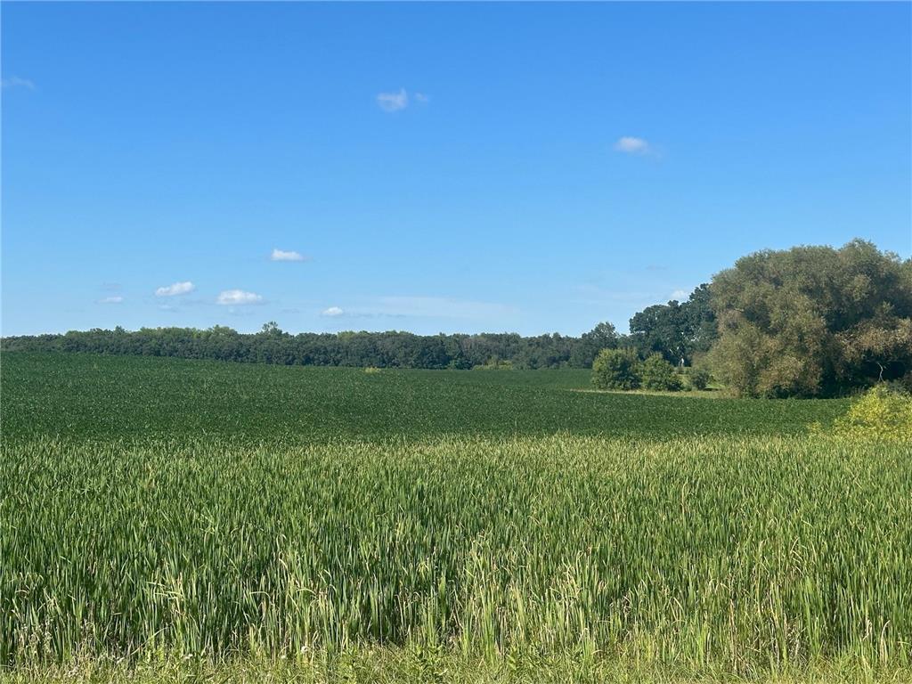 Xxxxx County Hwy 12 Dalton MN 56324 6780550 image26