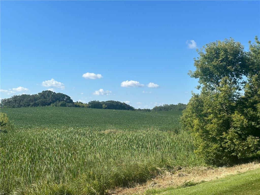 Xxxxx County Hwy 12 Dalton MN 56324 6780550 image27