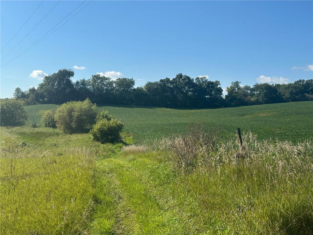 Xxxxx County Hwy 12 Dalton MN 56324 6780550 image28