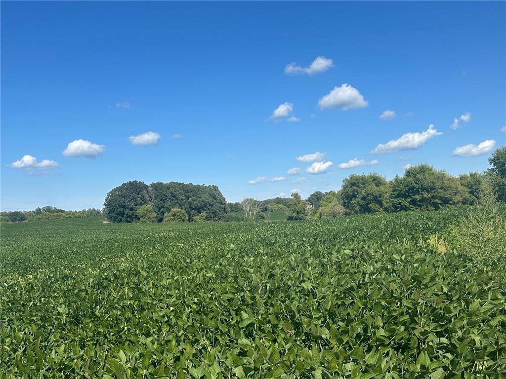 Xxxxx County Hwy 12 Dalton MN 56324 6780550 image29