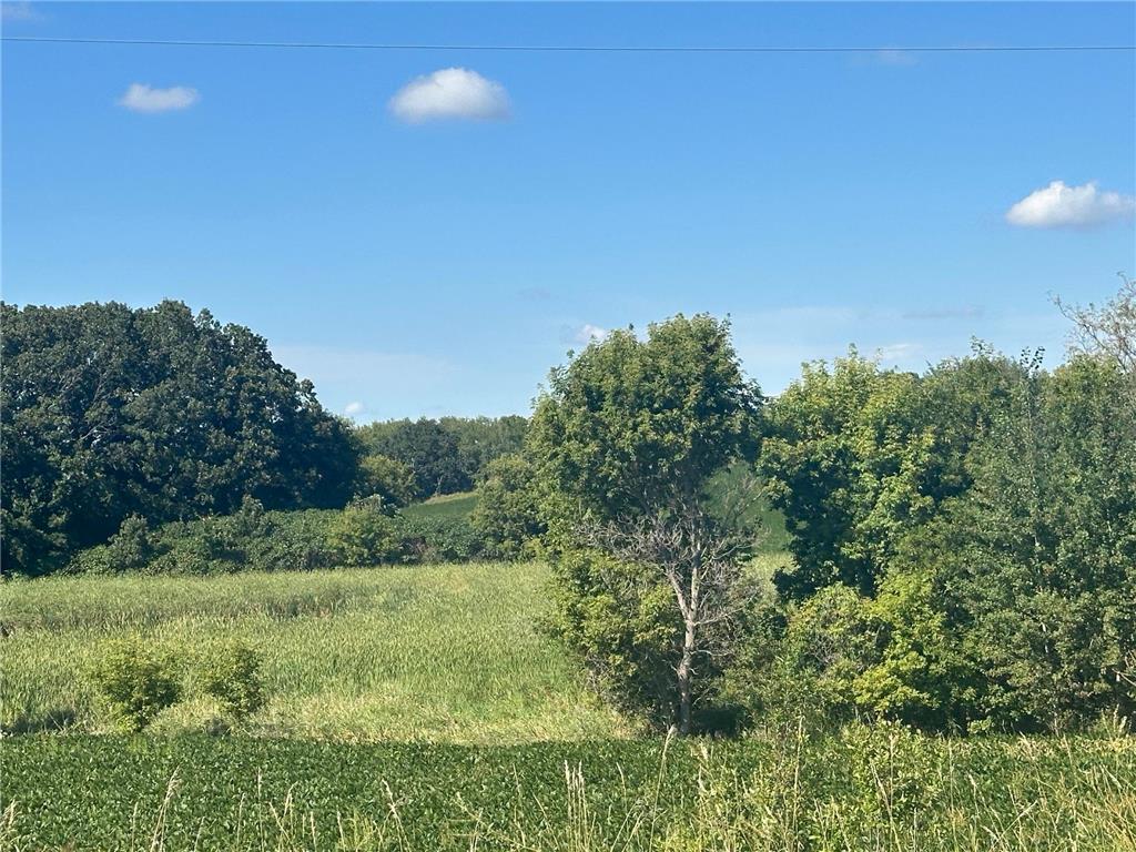 Xxxxx County Hwy 12 Dalton MN 56324 6780550 image3