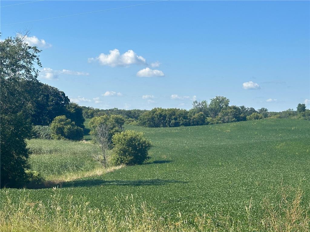 Xxxxx County Hwy 12 Dalton MN 56324 6780550 image6