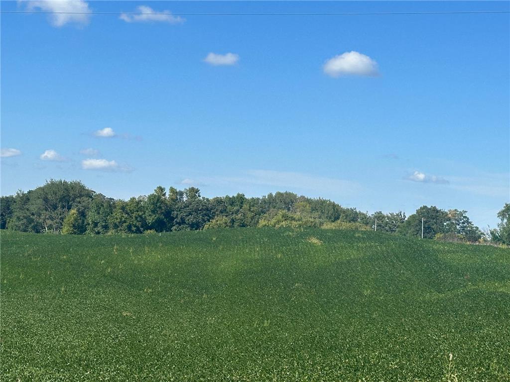 Xxxxx County Hwy 12 Dalton MN 56324 6780550 image7