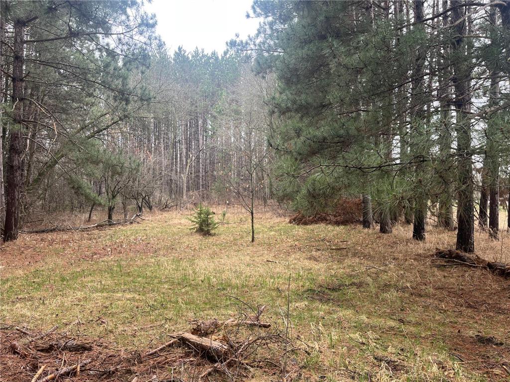 Xxxxx Old 67 Road Henning Twp MN 56551 6711189 image1