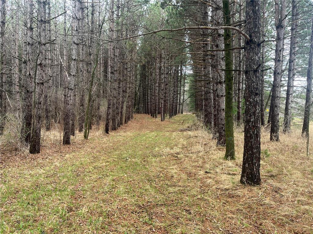 Xxxxx Old 67 Road Henning Twp MN 56551 6711189 image5