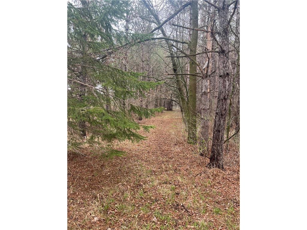 Xxxxx Old 67 Road Henning Twp MN 56551 6711189 image6