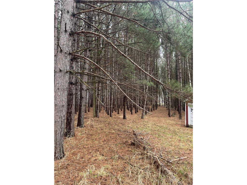 Xxxxx Old 67 Road Henning Twp MN 56551 6711189 image8