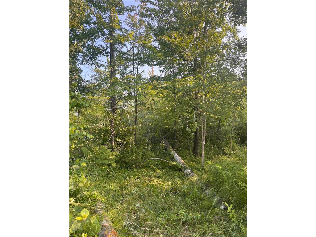 Xxxxx State Highway 48 Barry Twp MN 55037 6404277 image1