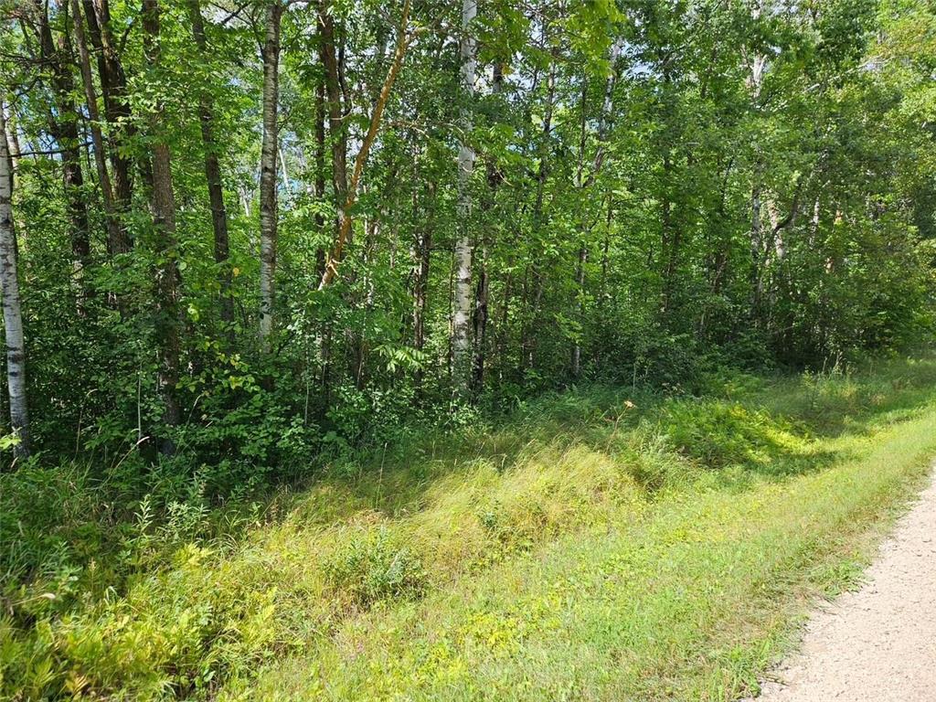 _ Birch Circle Drive NW Wabanica Twp MN 56623 7045455 image7