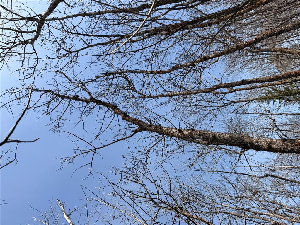 _ _ Steenerson Twp MN 56727 7064368 image10