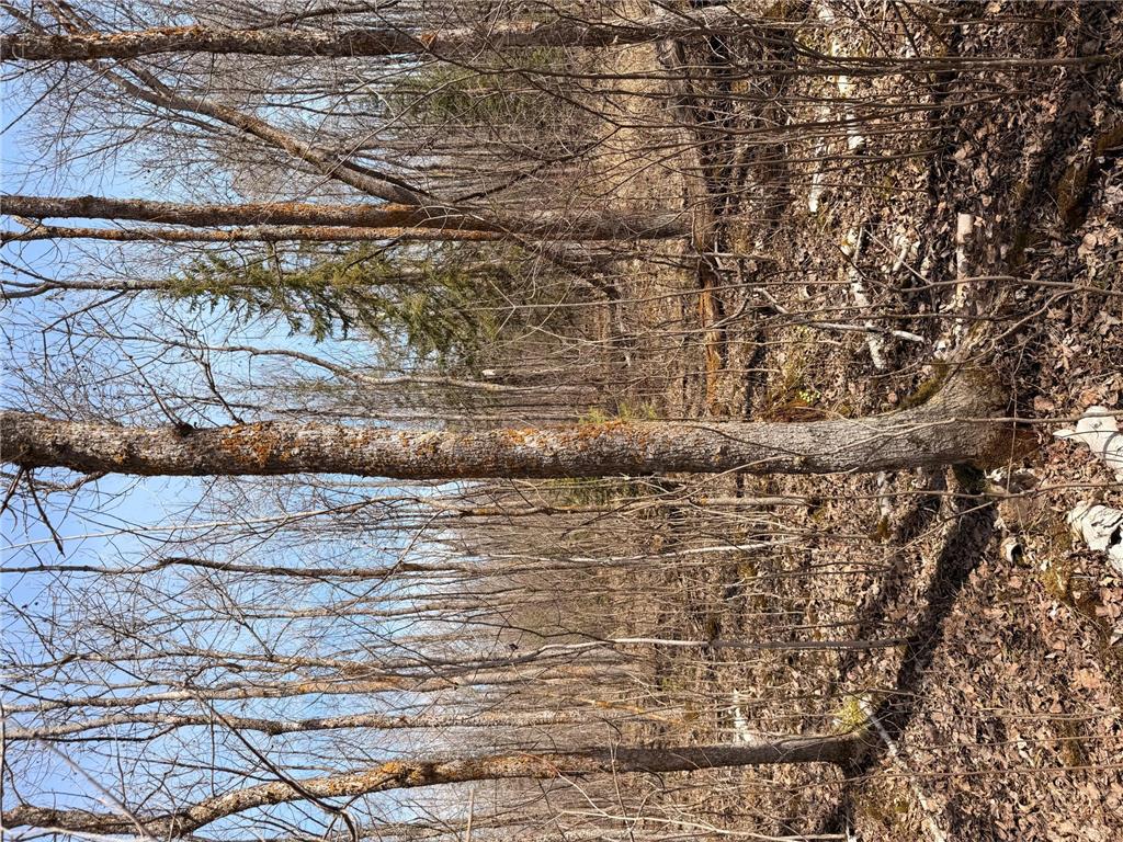 _ _ Steenerson Twp MN 56727 7064368 image11