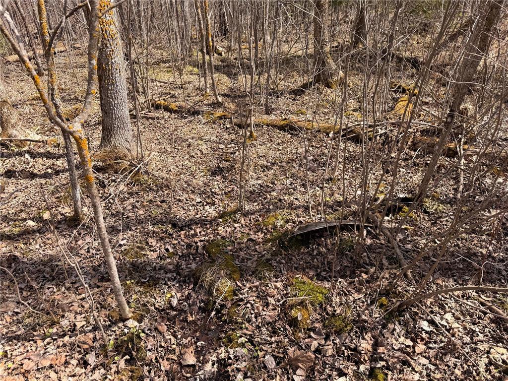 _ _ Steenerson Twp MN 56727 7064368 image12