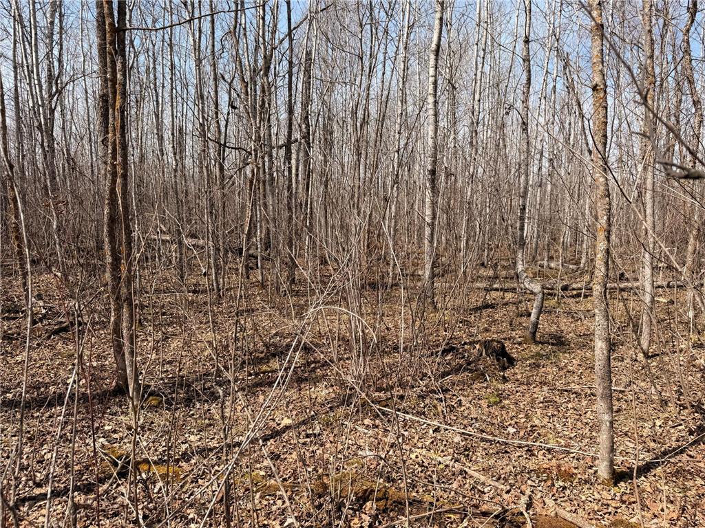 _ _ Steenerson Twp MN 56727 7064368 image13