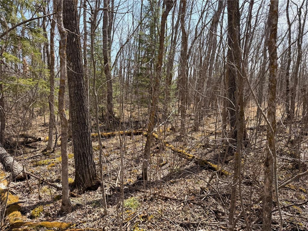 _ _ Steenerson Twp MN 56727 7064368 image14