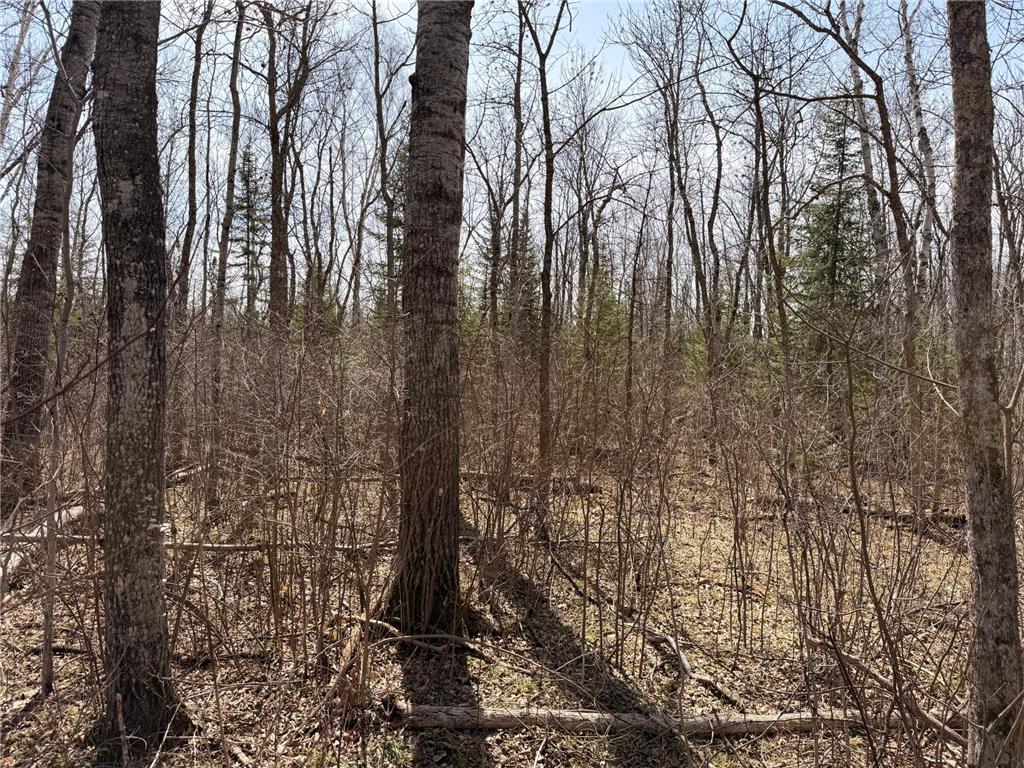 _ _ Steenerson Twp MN 56727 7064368 image15