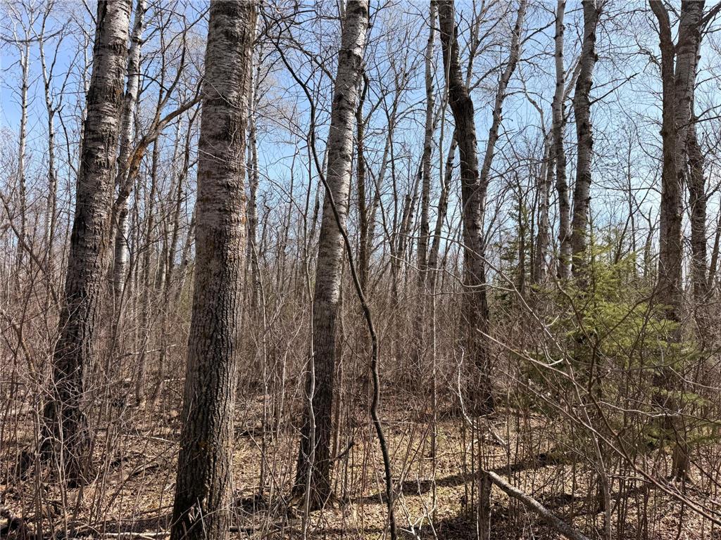 _ _ Steenerson Twp MN 56727 7064368 image16