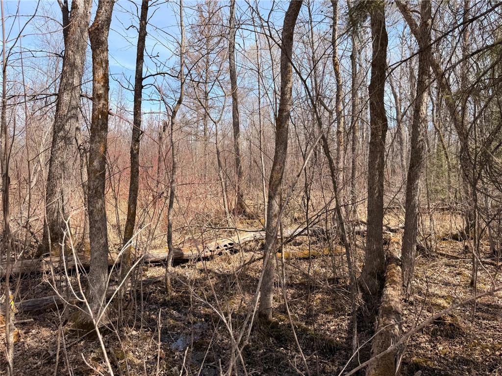 _ _ Steenerson Twp MN 56727 7064368 image17