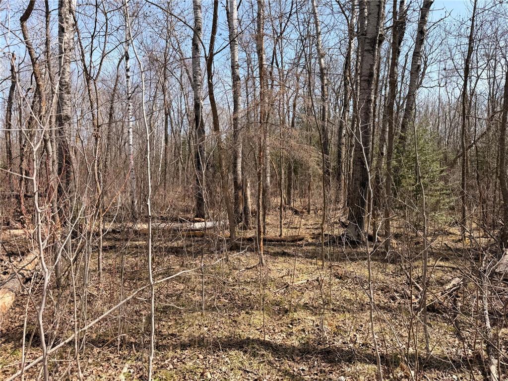 _ _ Steenerson Twp MN 56727 7064368 image18