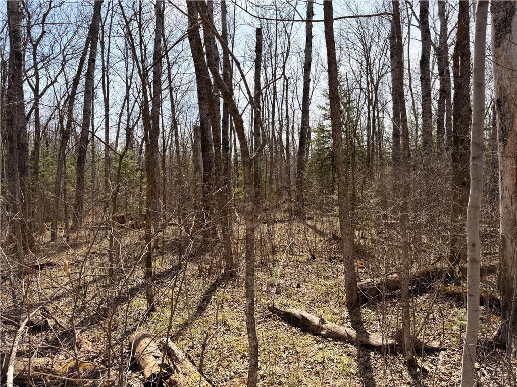 _ _ Steenerson Twp MN 56727 7064368 image19