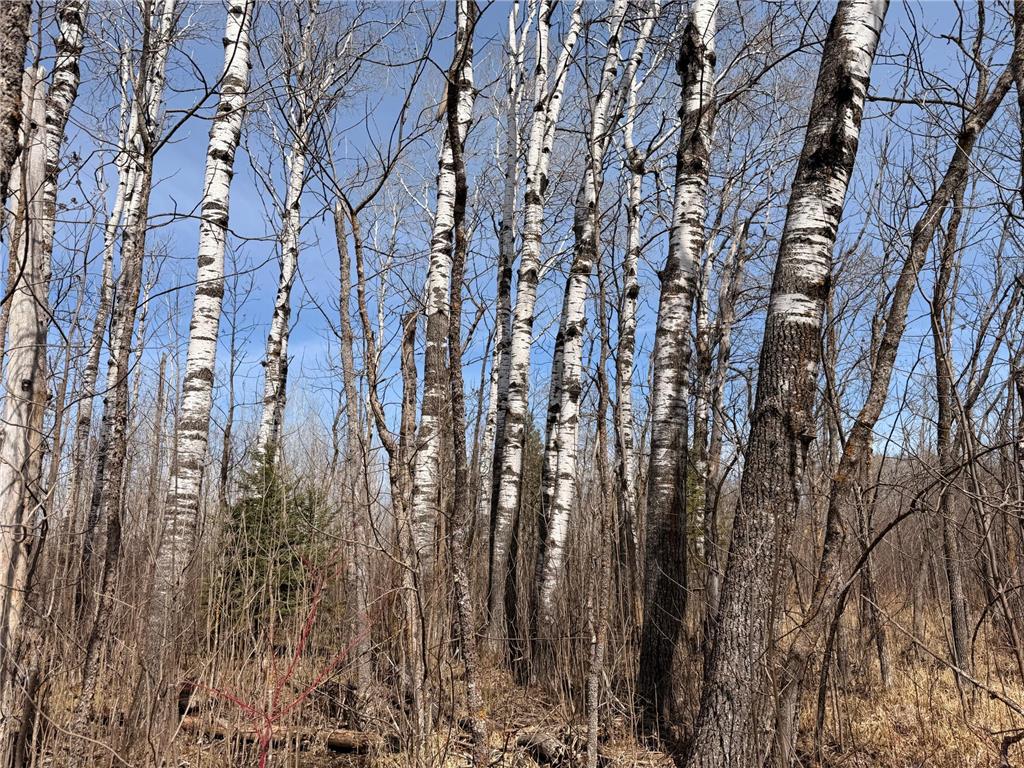 _ _ Steenerson Twp MN 56727 7064368 image2
