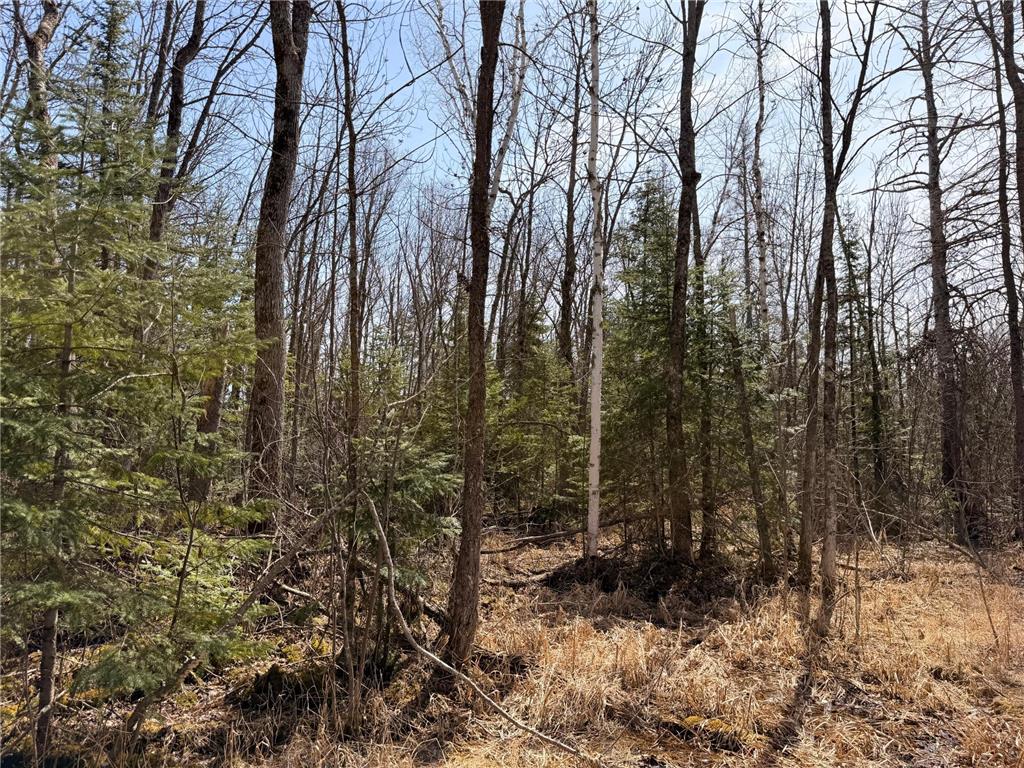 _ _ Steenerson Twp MN 56727 7064368 image20