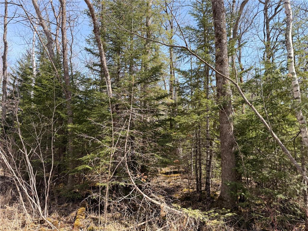 _ _ Steenerson Twp MN 56727 7064368 image21