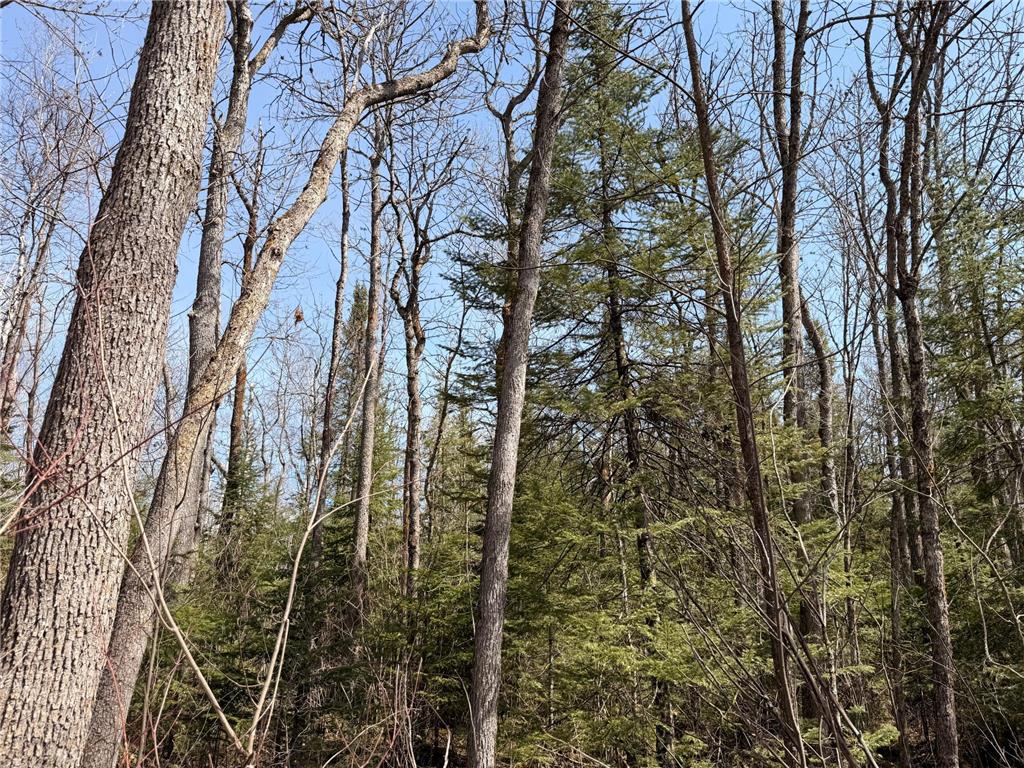 _ _ Steenerson Twp MN 56727 7064368 image22