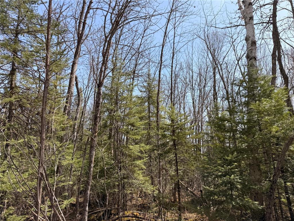_ _ Steenerson Twp MN 56727 7064368 image23