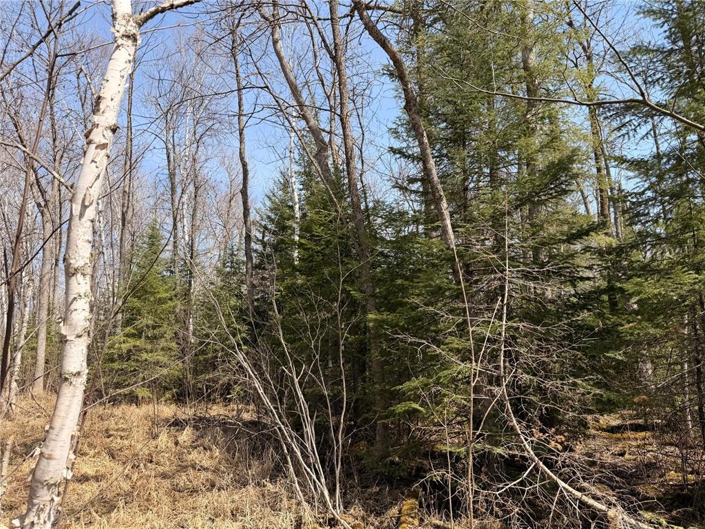 _ _ Steenerson Twp MN 56727 7064368 image24
