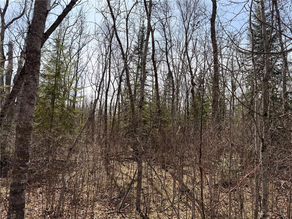 _ _ Steenerson Twp MN 56727 7064368 image25