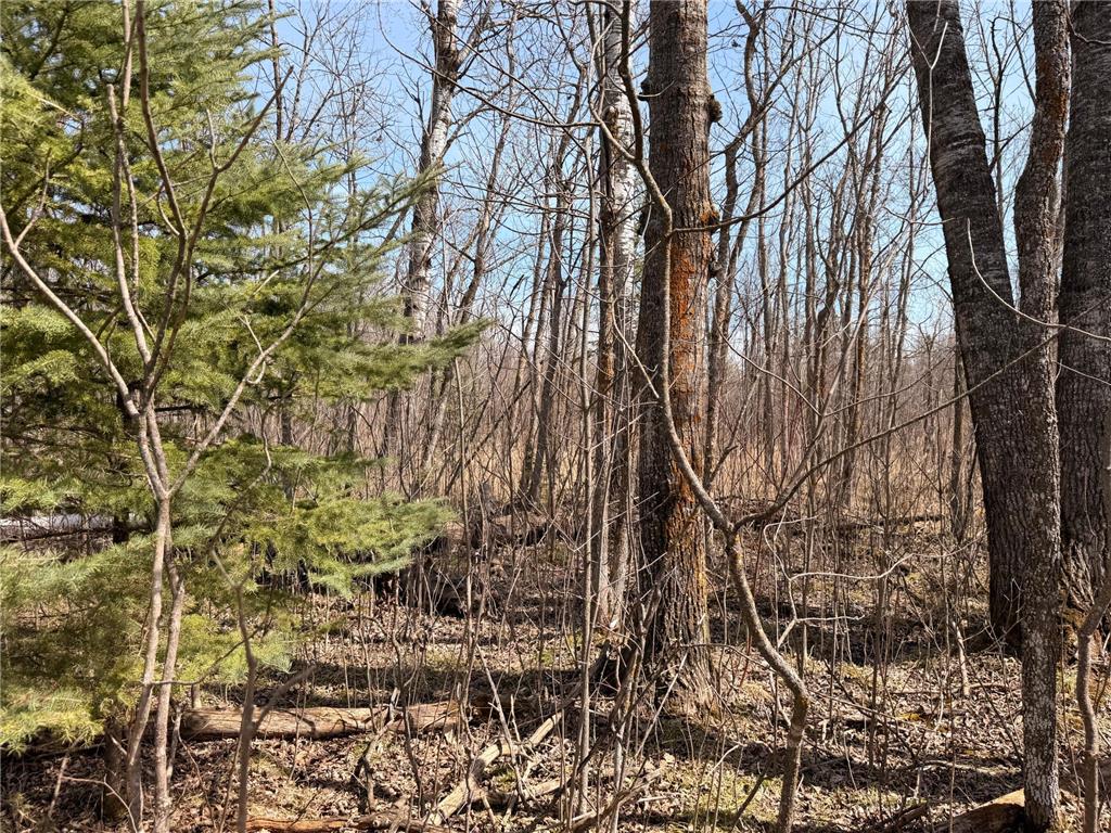 _ _ Steenerson Twp MN 56727 7064368 image3