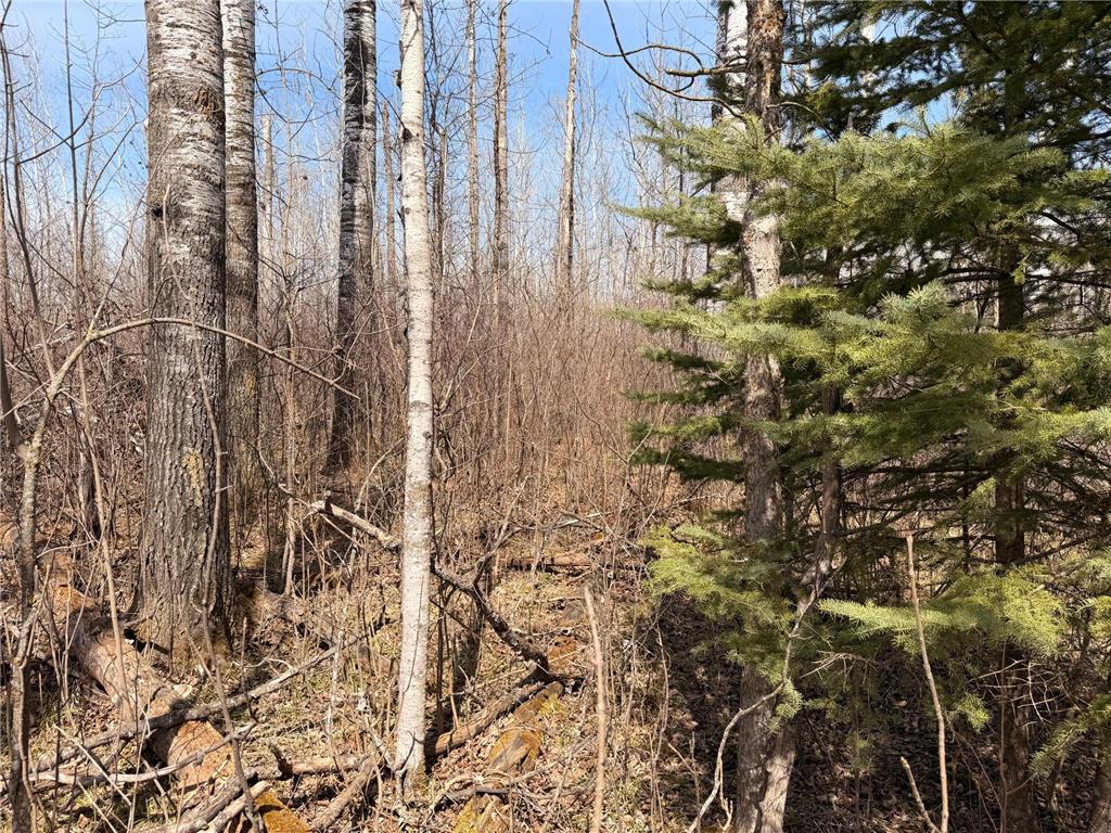 _ _ Steenerson Twp MN 56727 7064368 image4