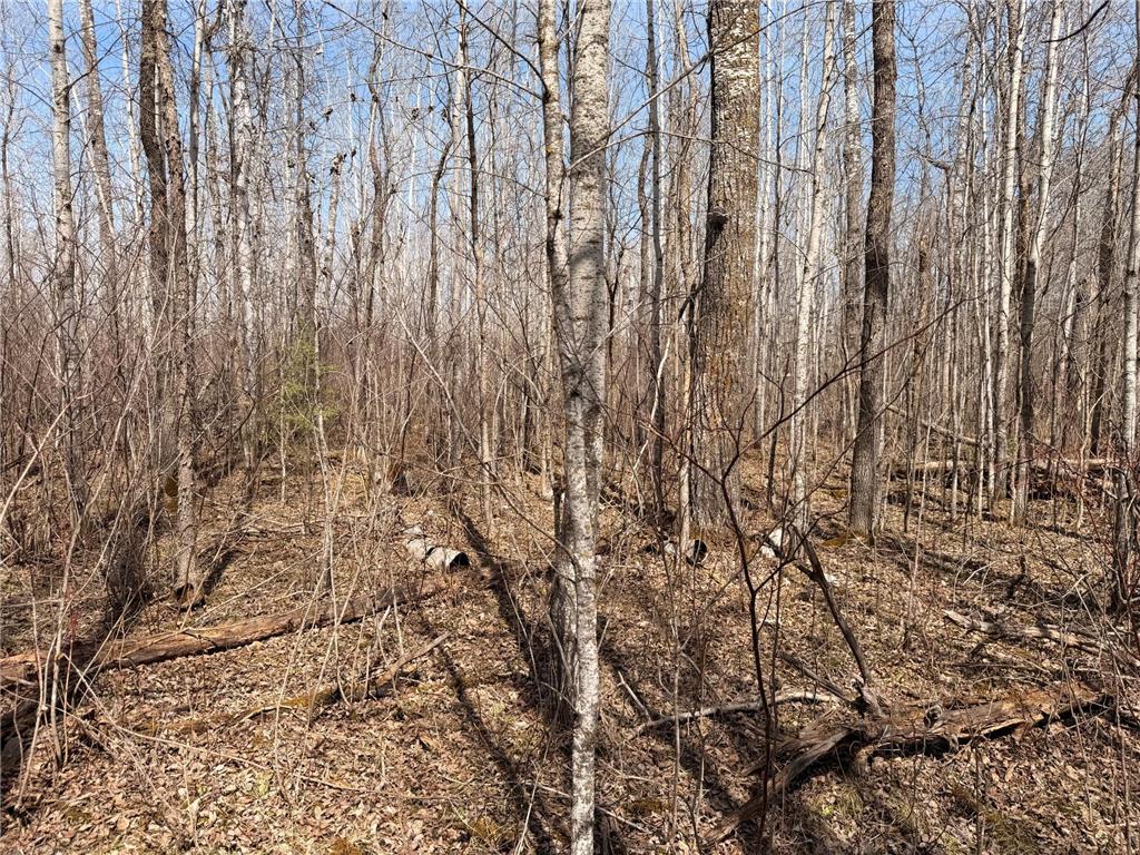 _ _ Steenerson Twp MN 56727 7064368 image6