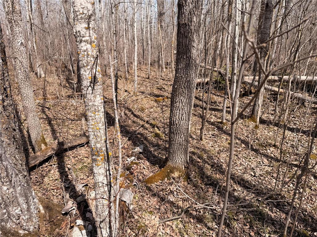 _ _ Steenerson Twp MN 56727 7064368 image7
