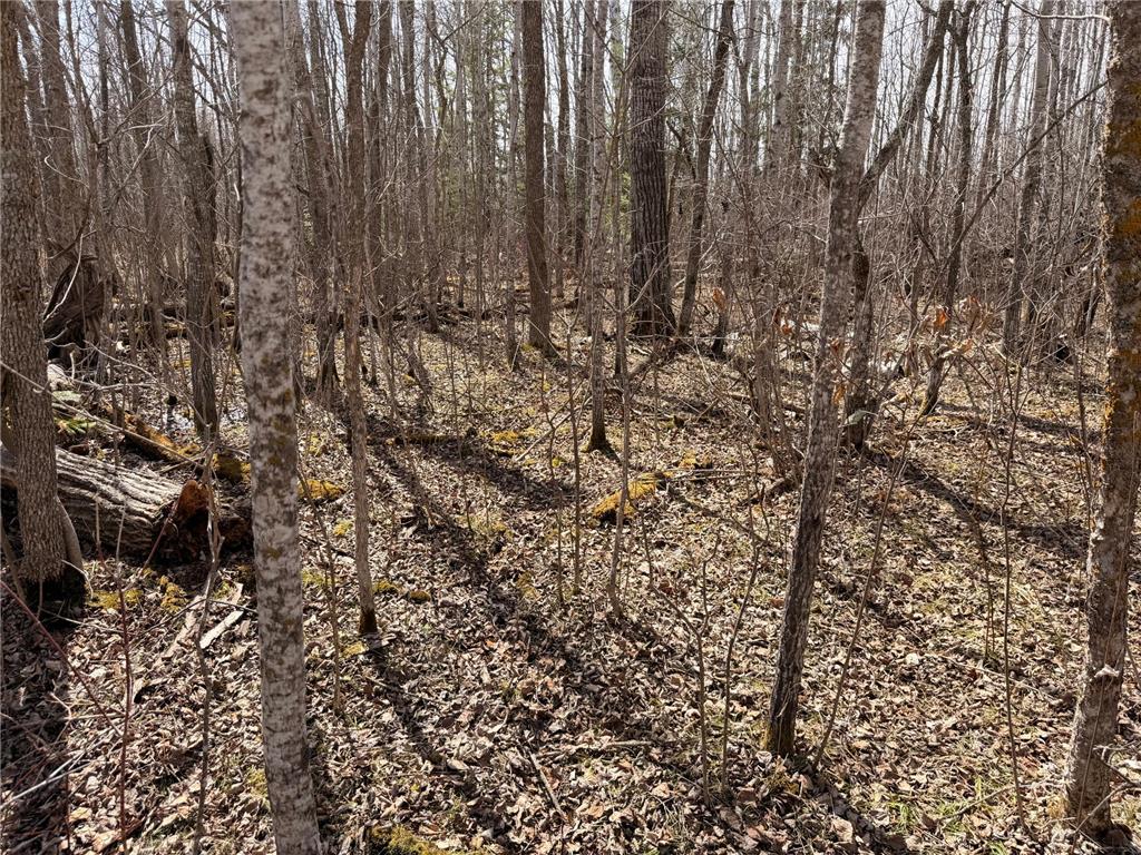 _ _ Steenerson Twp MN 56727 7064368 image8