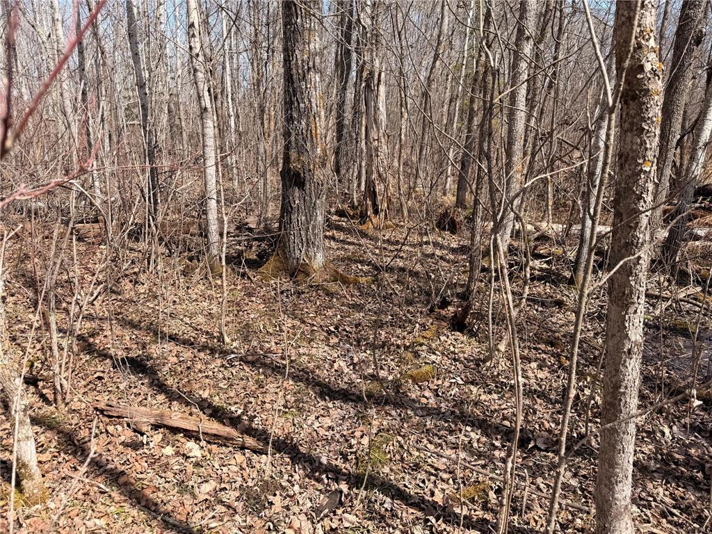 _ _ Steenerson Twp MN 56727 7064368 image9