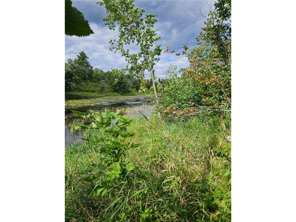 _ __Birch Circle Drive NW Wabanica Twp MN 56623 7078488 image3