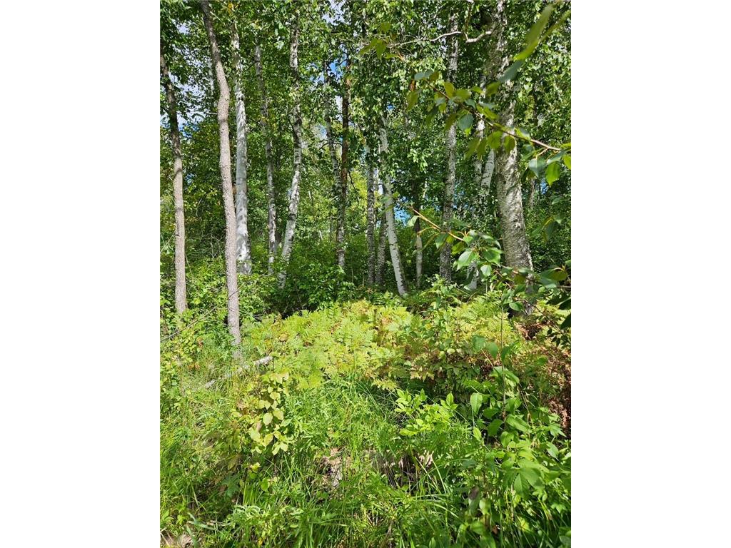 _ __Birch Circle Drive NW Wabanica Twp MN 56623 7078488 image4