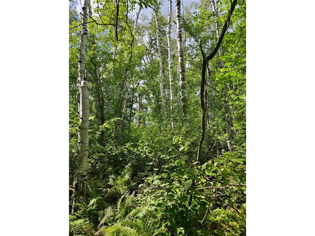_ __Birch Circle Drive NW Wabanica Twp MN 56623 7078488 image6
