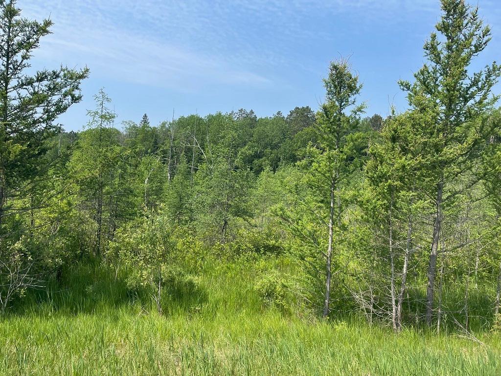 abc County Highway 46 Park Rapids MN 56470 6382912 image1