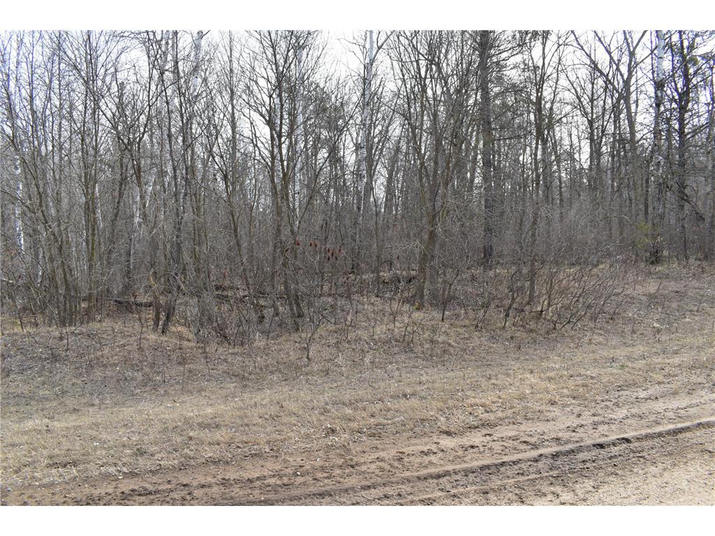 county road 4 county road 4 Little Elbow Twp MN 56589 7063532 image17