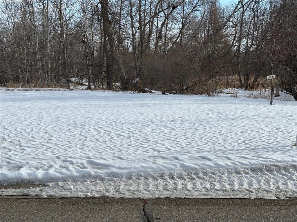 lot 17 Irvine Avenue NW Bemidji MN 56601 7048712 image4