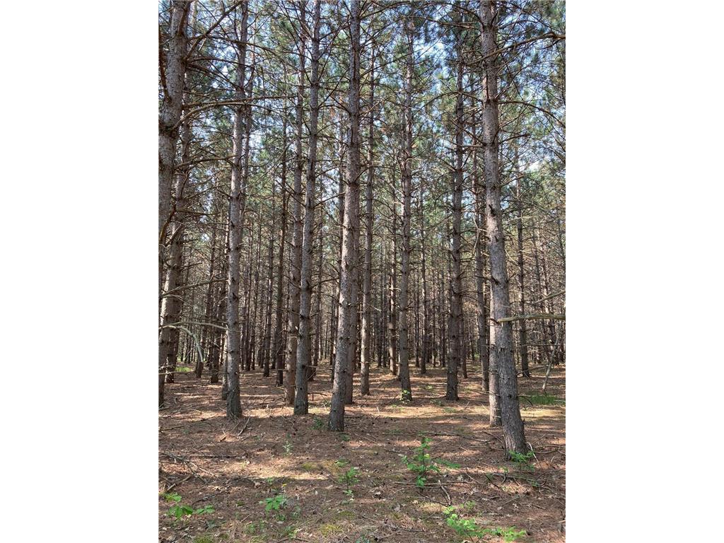 lot 2 Fawn Lake Road Breezy Point MN 56442 6794474 image4