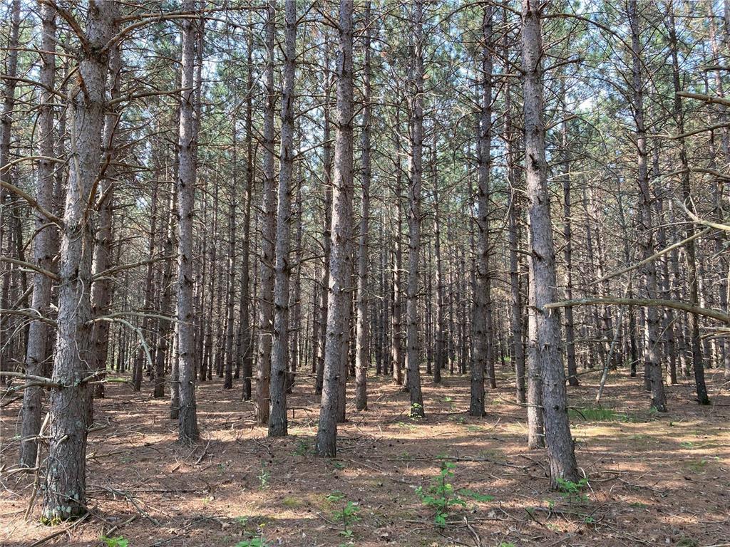 lot 2 Fawn Lake Road Breezy Point MN 56442 6794474 image5