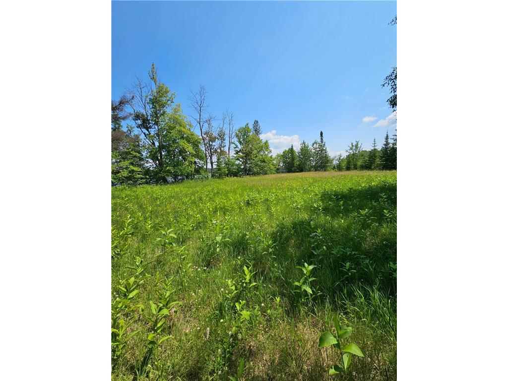 lot3 Hooper Creek Loop Baudette MN 56623 - Rainy River 6395594 image1