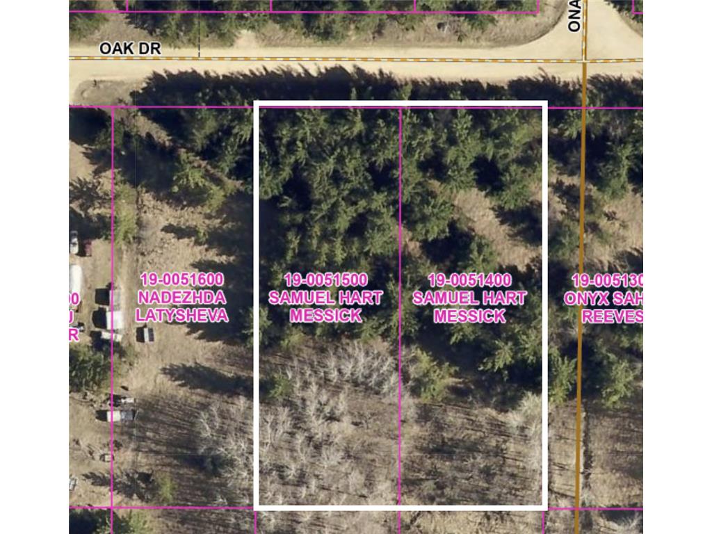 lots 22 & 23 Oak Drive Browerville MN 56438 6551284 image1